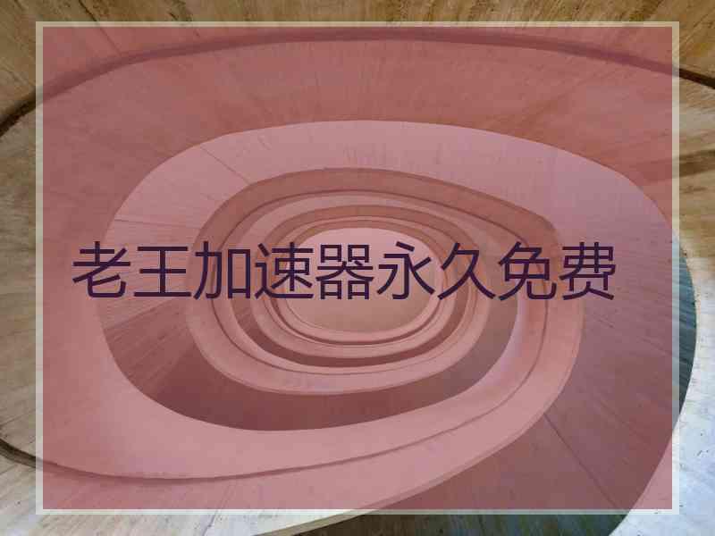 老王加速器永久免费