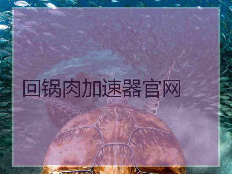 回锅肉加速器官网