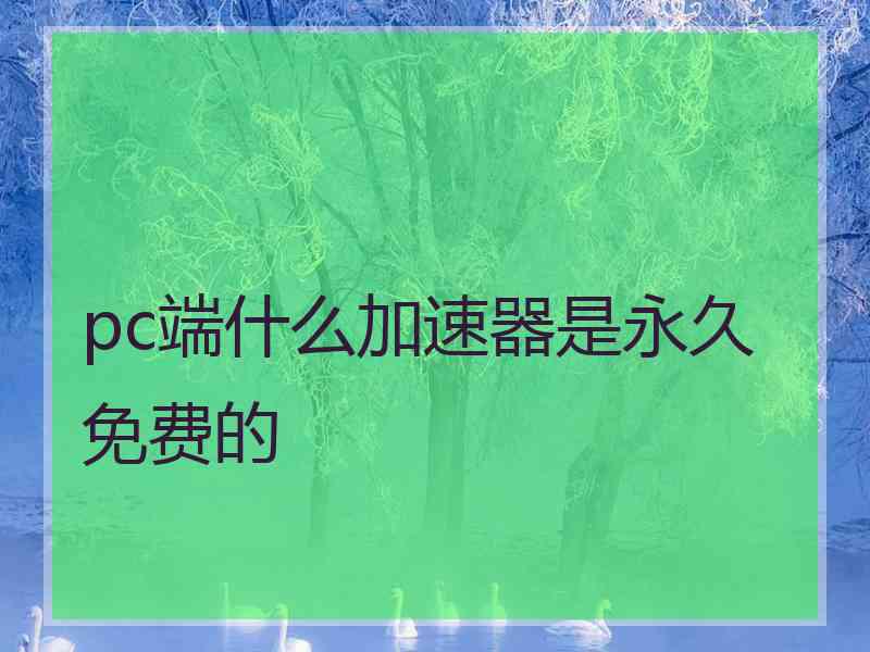 pc端什么加速器是永久免费的