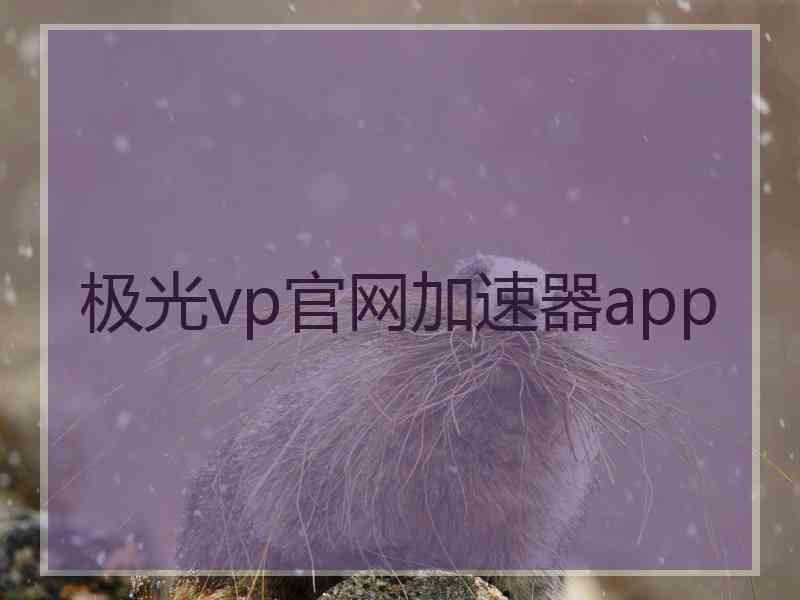 极光vp官网加速器app