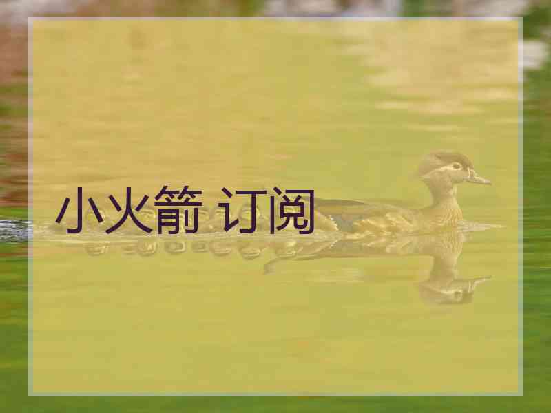 小火箭 订阅