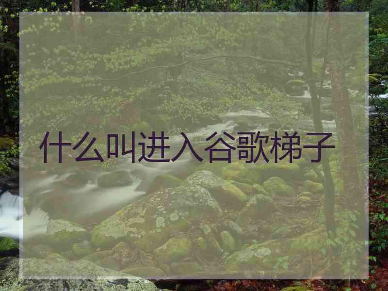 什么叫进入谷歌梯子