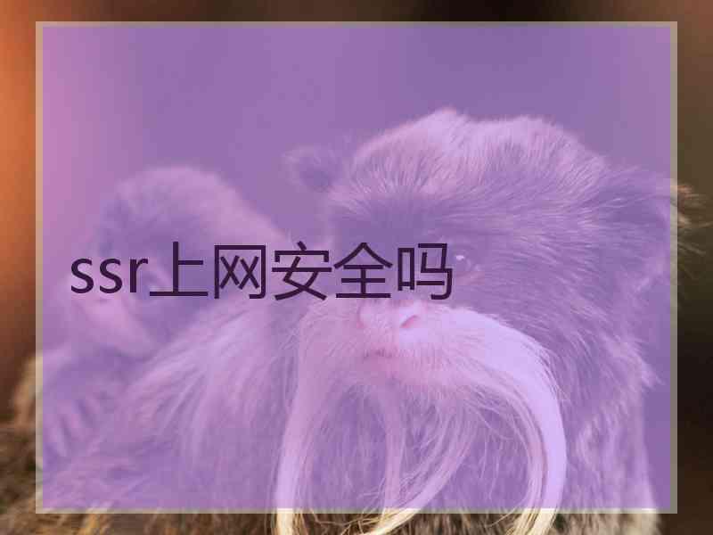 ssr上网安全吗