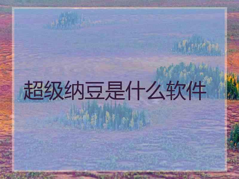 超级纳豆是什么软件