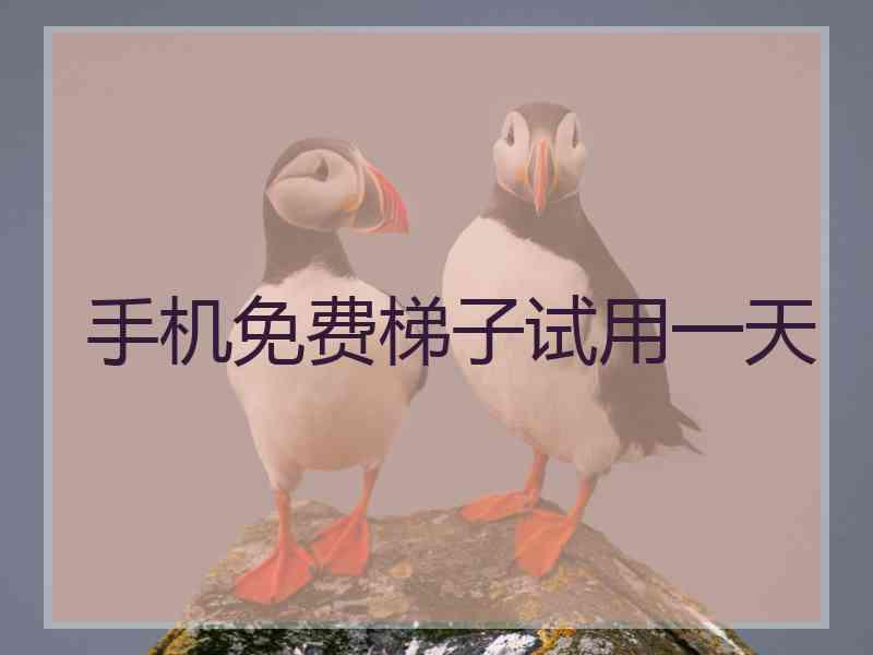 手机免费梯子试用一天