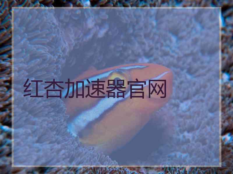 红杏加速器官网