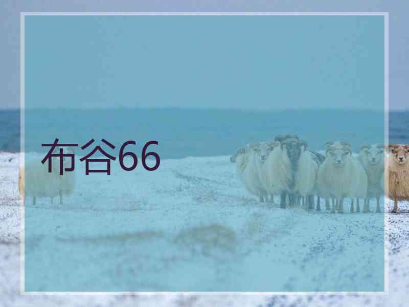 布谷66