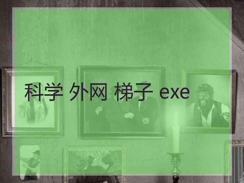 科学 外网 梯子 exe