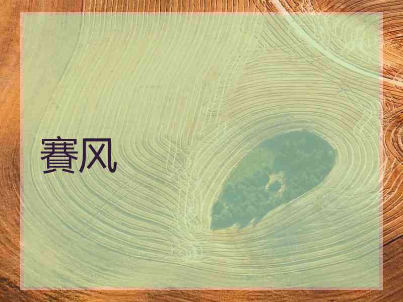 賽风