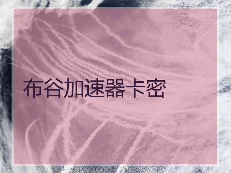 布谷加速器卡密