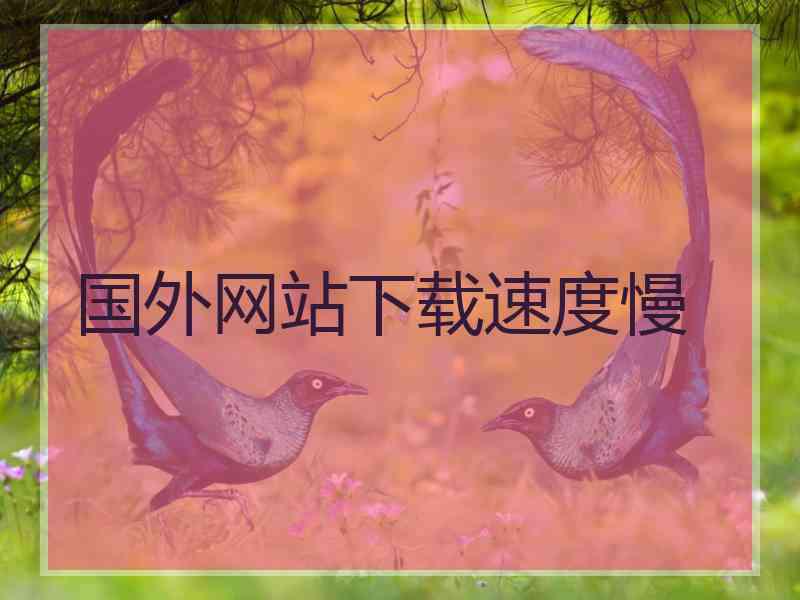 国外网站下载速度慢