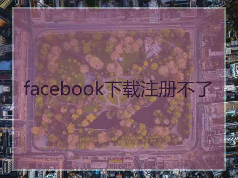 facebook下载注册不了