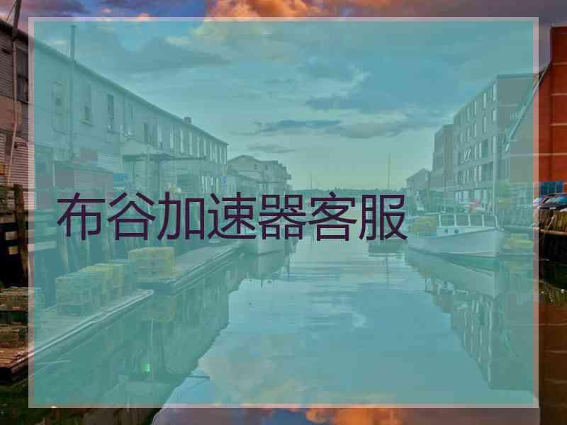 布谷加速器客服