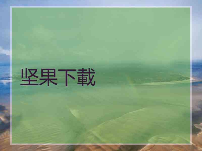 坚果下載