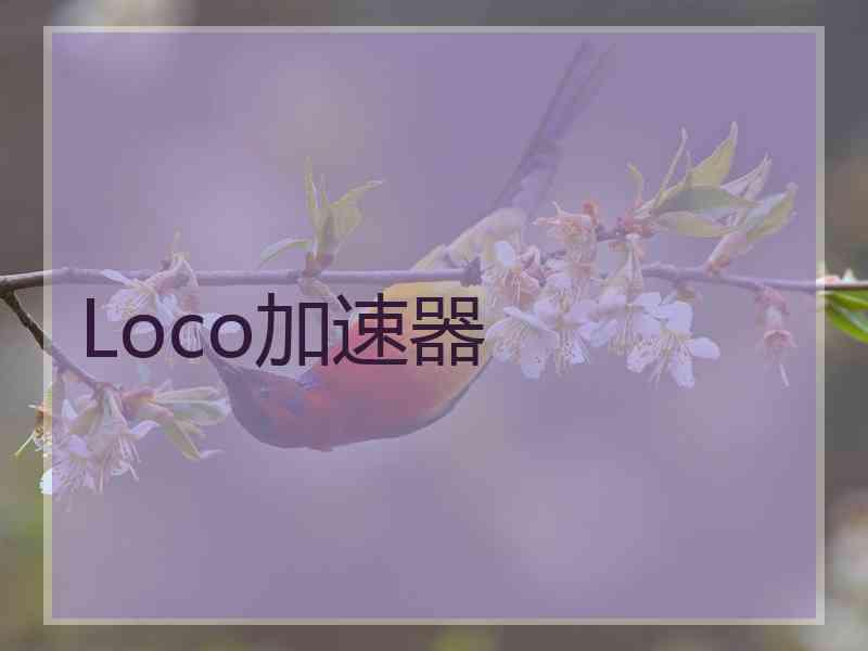 Loco加速器