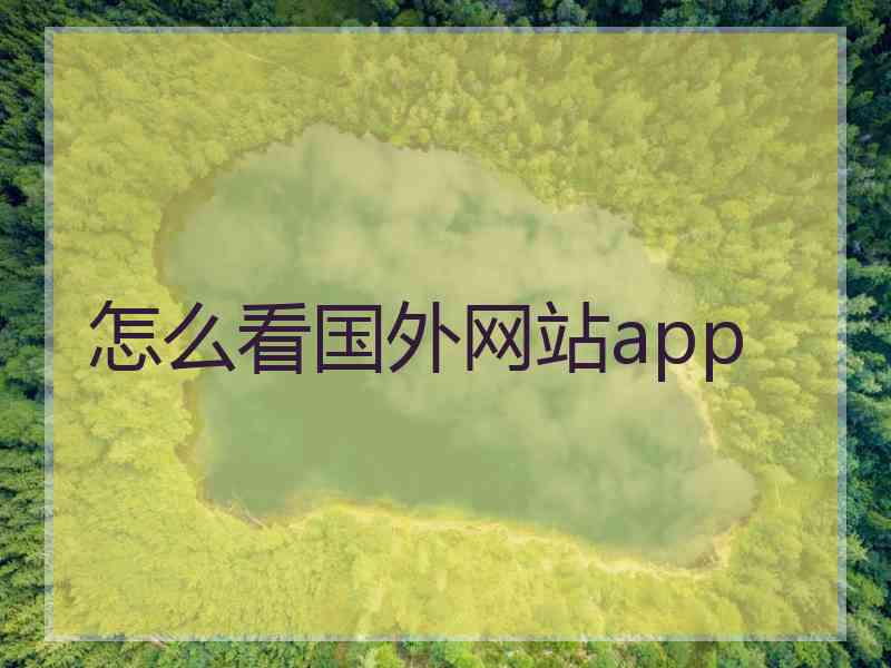 怎么看国外网站app