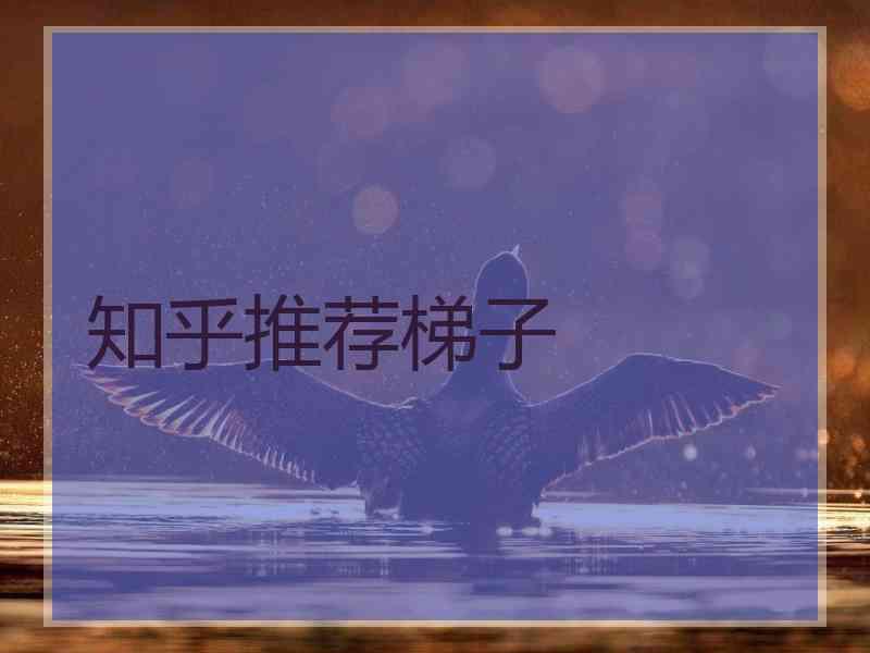 知乎推荐梯子