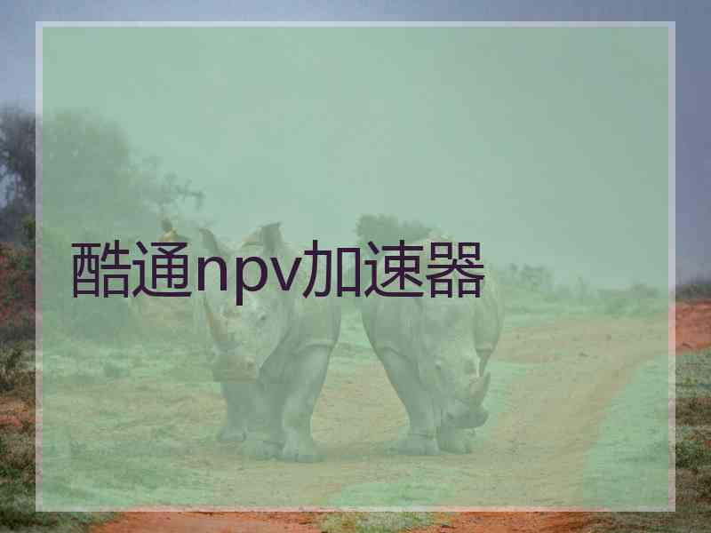 酷通npv加速器