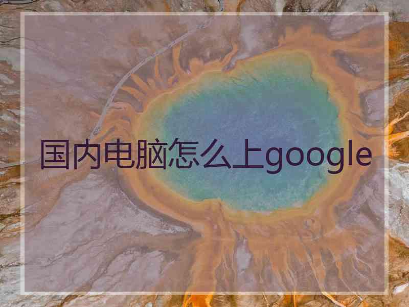 国内电脑怎么上google