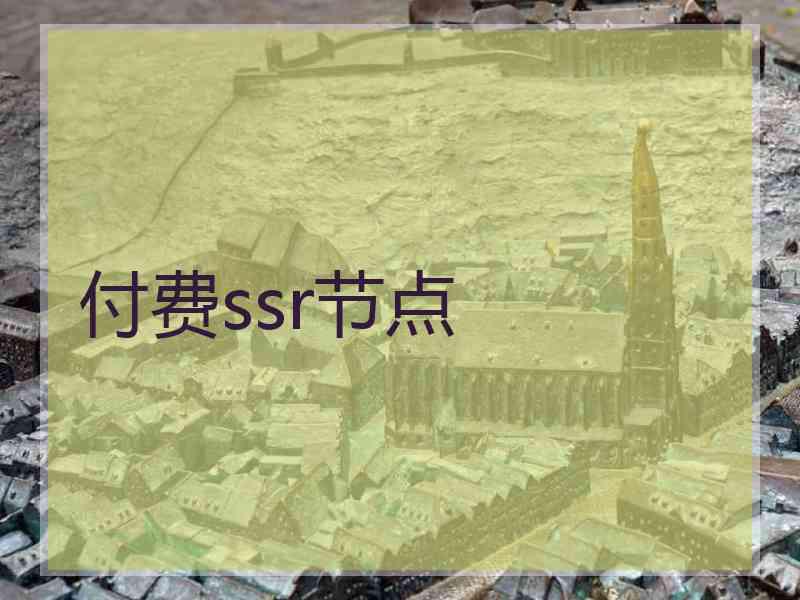 付费ssr节点