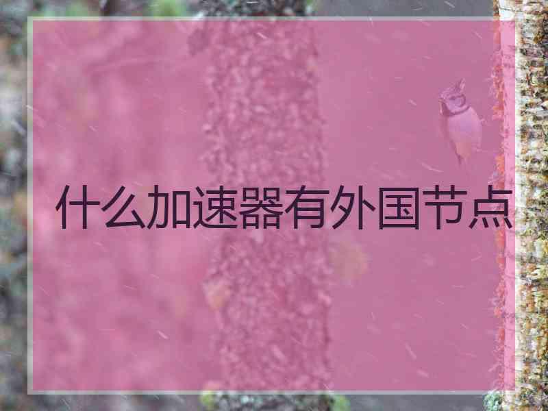 什么加速器有外国节点