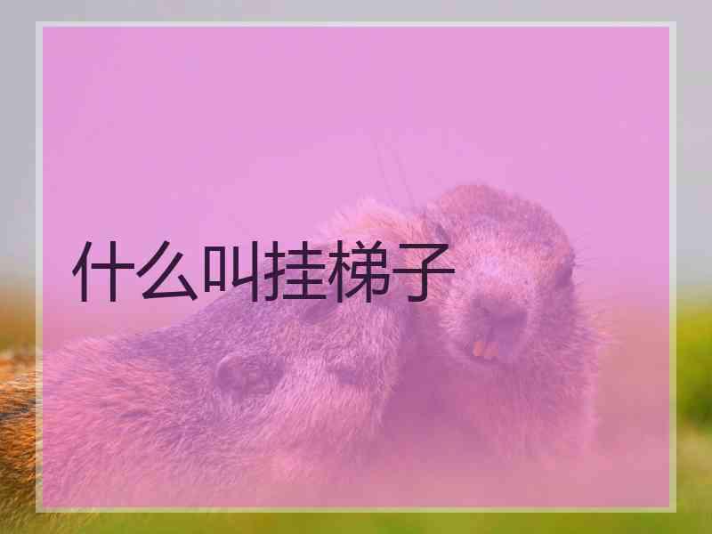 什么叫挂梯子