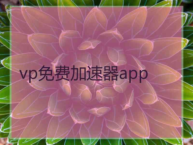 vp免费加速器app
