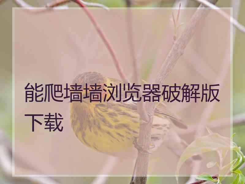 能爬墙墙浏览器破解版下载