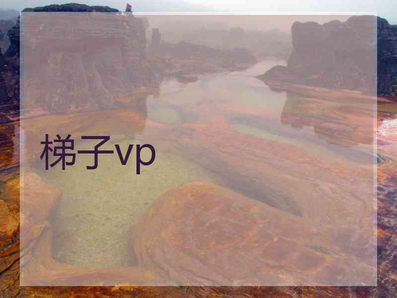 梯子vp