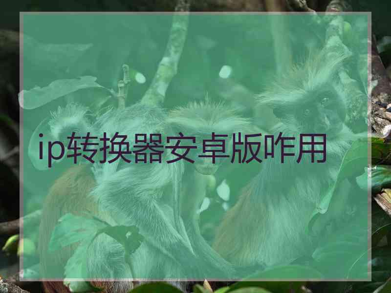 ip转换器安卓版咋用