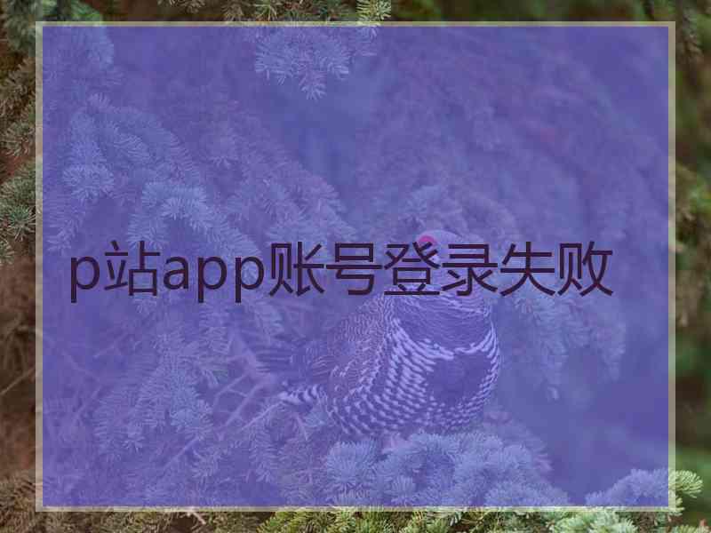 p站app账号登录失败