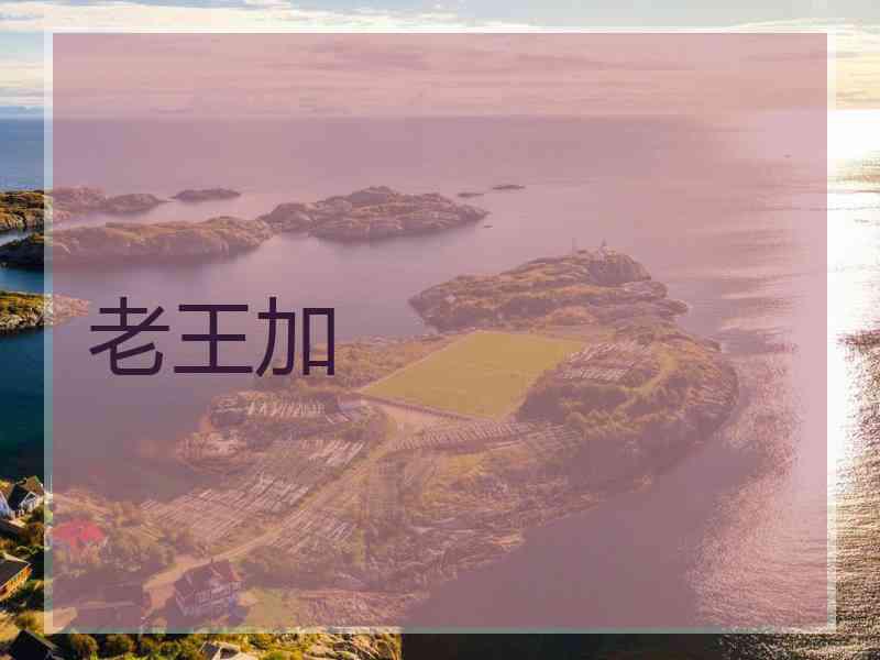 老王加