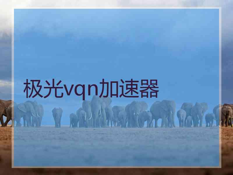 极光vqn加速器