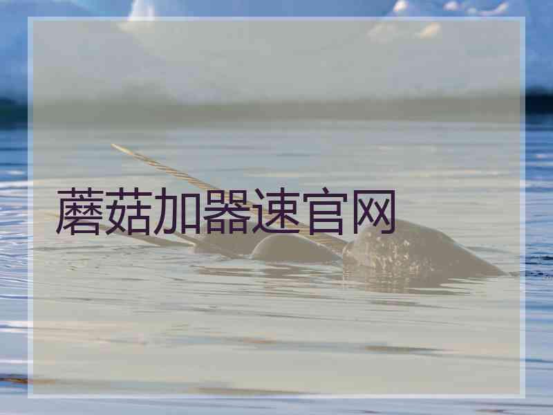 蘑菇加器速官网
