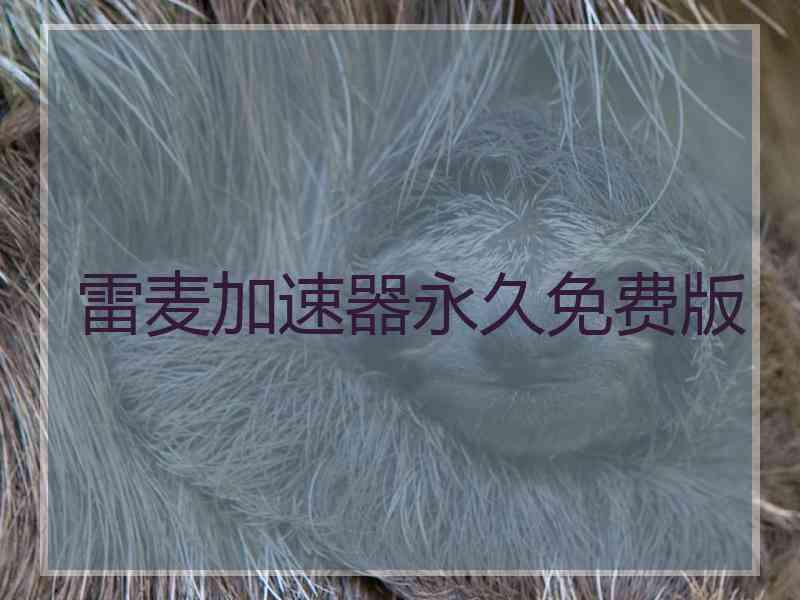 雷麦加速器永久免费版