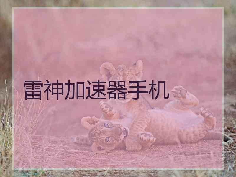雷神加速器手机