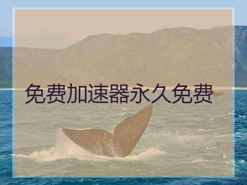 免费加速器永久免费
