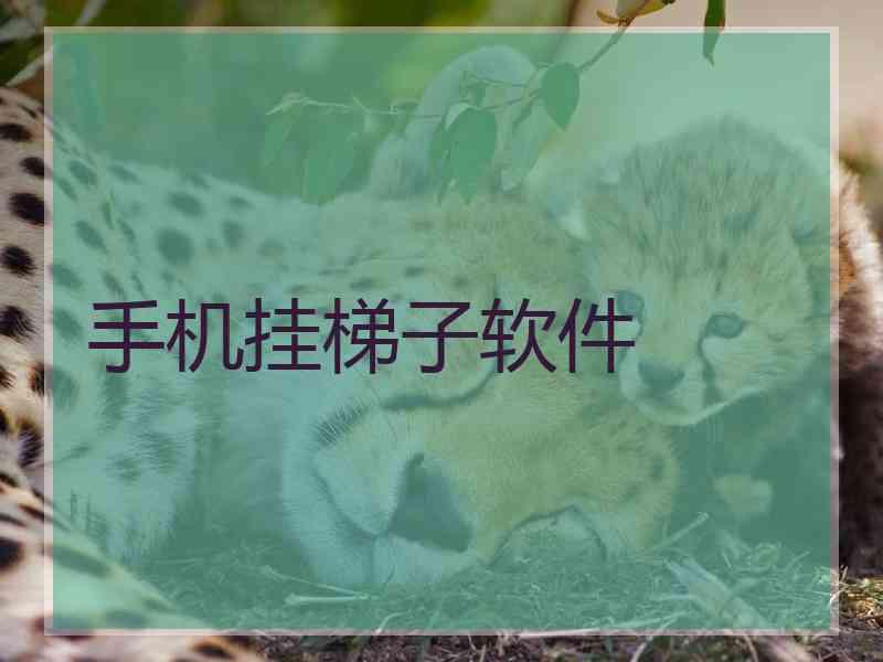 手机挂梯子软件
