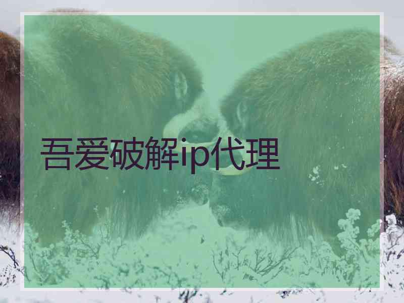 吾爱破解ip代理