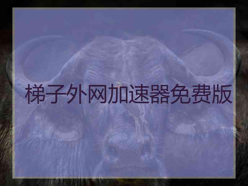 梯子外网加速器免费版