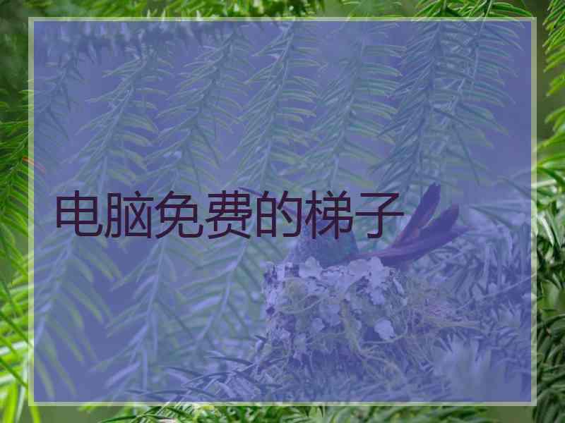 电脑免费的梯子