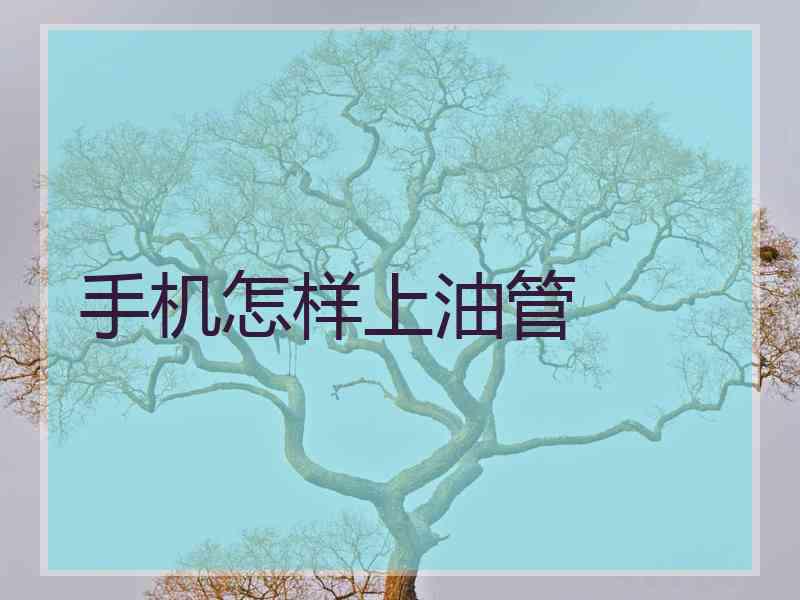 手机怎样上油管