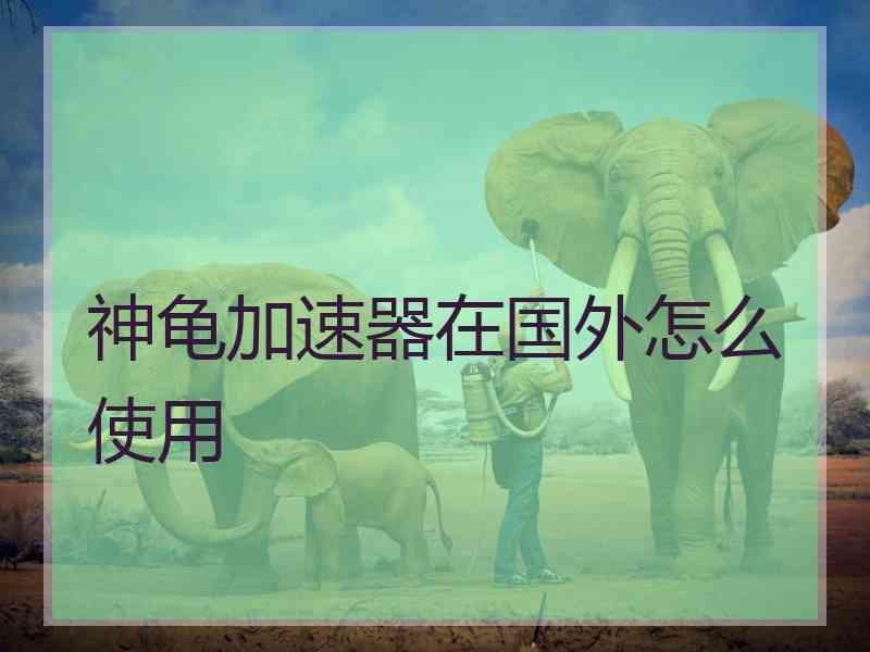 神龟加速器在国外怎么使用