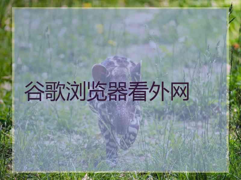谷歌浏览器看外网
