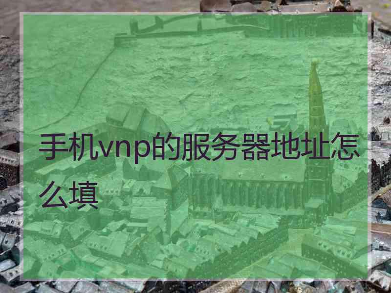手机vnp的服务器地址怎么填