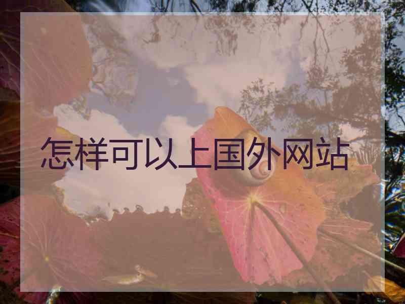 怎样可以上国外网站