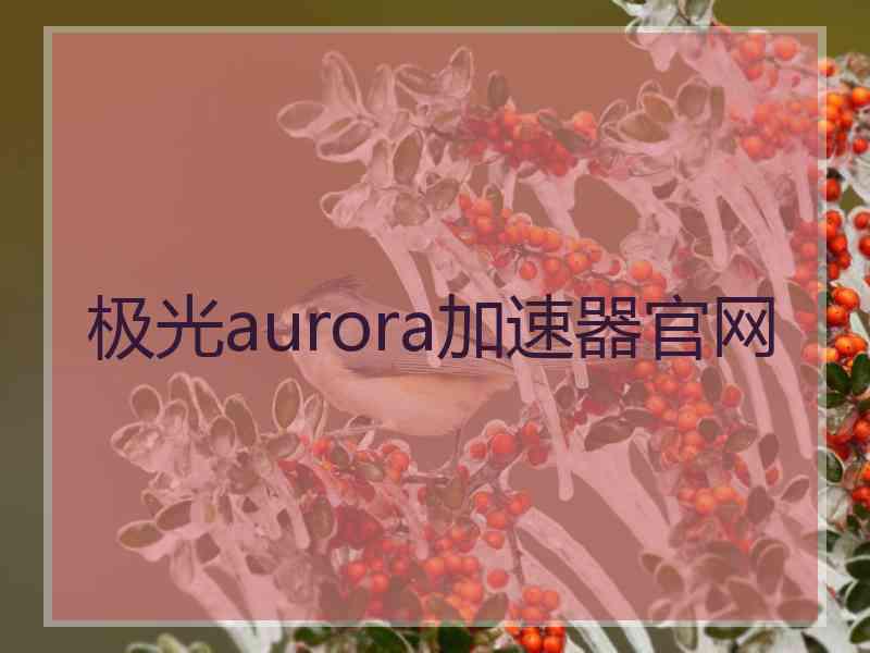 极光aurora加速器官网