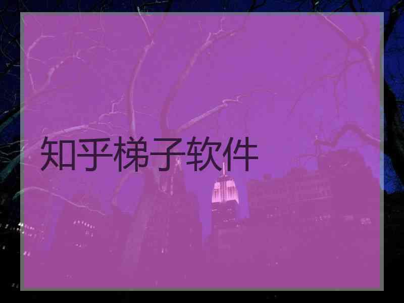 知乎梯子软件