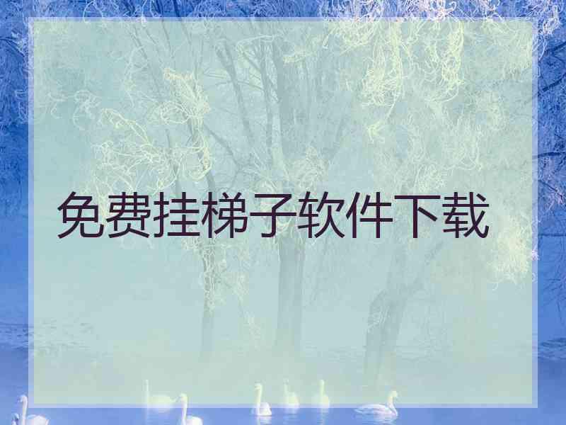 免费挂梯子软件下载