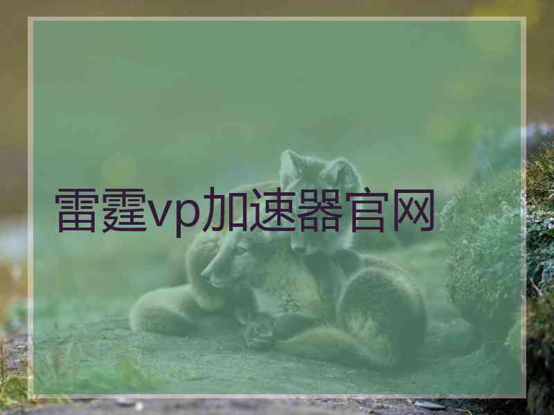 雷霆vp加速器官网